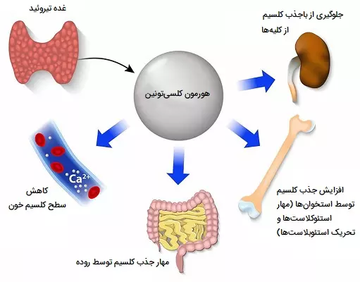 کم‌ کاری تیروئید